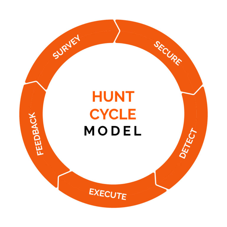 Hunt Cycle Model