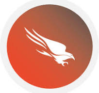 CrowdStrike Falcon